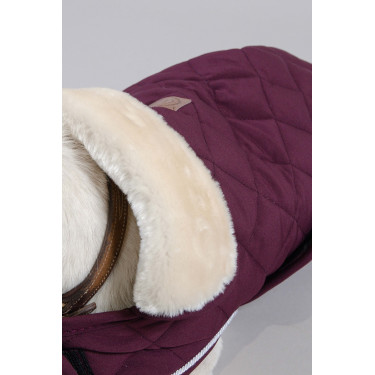 Hundedecke Harcour Rocket Hundedecke Harcour Rocket