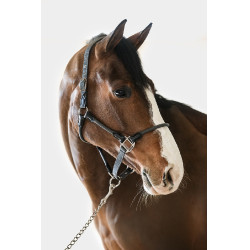 Halter Harcour Honey Dunkelgrau