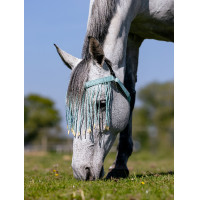 Fliegenfransen LeMieux Aqua Fliegenfransen LeMieux Aqua