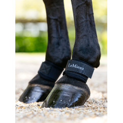 Fesselkopfschutz von LeMieux aus Neopren Schwarz