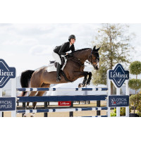 LeMieux Sattelunterlage CC Puissance Wildleder Weiß Weiß