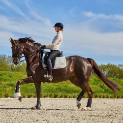 Satteldecke Kingsland KLNexus Dressur Mischgewebe Pflastermischung Mehrfarbig