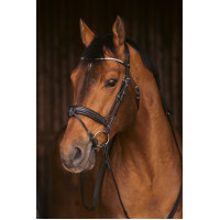 Trense Pénélope Daily Strass SR Schwarz Trense Pénélope Daily Strass SR Schwarz