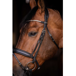 Trense Pénélope Daily Strass SR Schwarz Trense Pénélope Daily Strass SR Schwarz