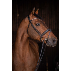 Trense Pénélope Daily Strass SR Schwarz Trense Pénélope Daily Strass SR Schwarz