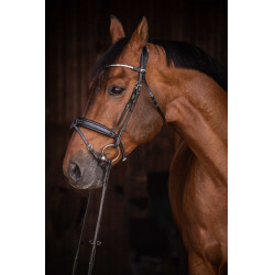 Trense Pénélope Daily Strass SR Schwarz Trense Pénélope Daily Strass SR Schwarz