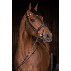 Trense Pénélope Daily Strass SR Schwarz Trense Pénélope Daily Strass SR Schwarz