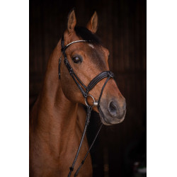 Trense Pénélope Daily Strass SR Schwarz Trense Pénélope Daily Strass SR Schwarz