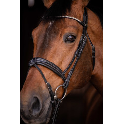 Trense Pénélope Daily Strass SR Schwarz Trense Pénélope Daily Strass SR Schwarz