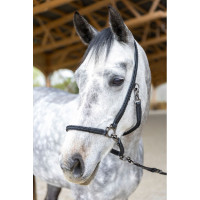 Grooming-Halfter ProConfort Dialou Schwarz Grooming-Halfter ProConfort Dialou Schwarz