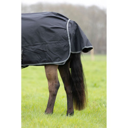 Ergonomische wasserdichte Decke ProConfort Dynastie Schwarz Ergonomische wasserdichte Decke ProConfort Dynastie Schwarz