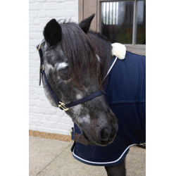 Nylon Halfter Breakaway Kentucky Marine Marineblau Nylon Halfter Breakaway Kentucky Marine Marineblau