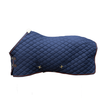 Kentucky Stalldecke Wave