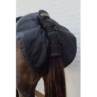 Quarter Guard Kentucky Schwarz Quarter Guard Kentucky Schwarz