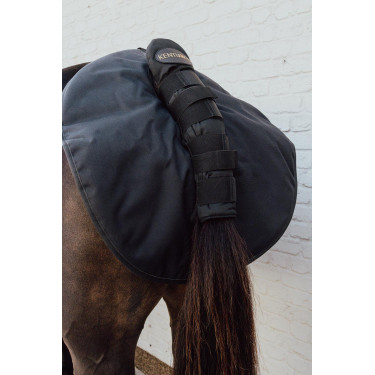 Quarter Guard Kentucky Schwarz Quarter Guard Kentucky Schwarz