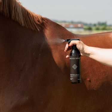 Anti-Fliegenspray Grooming Deluxe von Kentucky Anti-Fliegenspray Grooming Deluxe von Kentucky