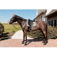 Kentucky Schabracke Hahnentritt Bordeaux Kentucky Schabracke Hahnentritt Bordeaux