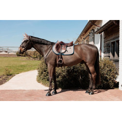 Kentucky Schabracke Hahnentritt Bordeaux