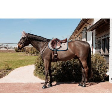 Kentucky Schabracke Hahnentritt Bordeaux