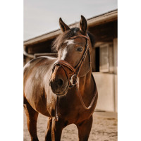 Gummizügel Eric Thomas Digit Havanna Braun