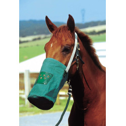 Musette-Canvas Musette-Canvas