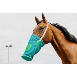 Musette-Canvas Musette-Canvas