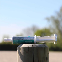 Ergänzungsfuttermittel LPC Quick Lythe Flash Ergänzungsfuttermittel LPC Quick Lythe Flash