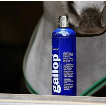 Gallop® Shampoo Carr & Day & Martin Grau Gallop® Shampoo Carr & Day & Martin Grau