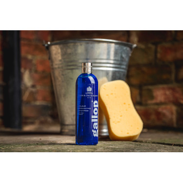 Gallop® Shampoo Carr & Day & Martin Grau Gallop® Shampoo Carr & Day & Martin Grau