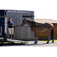 Norton Anreit-Hilfszügel Schwarz Norton Anreit-Hilfszügel Schwarz