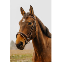 Trensenzaum Norton Club Strass V Schwarz