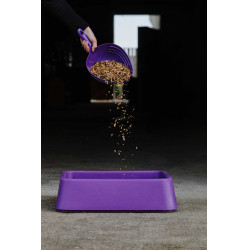 Getreidemaß Hippotonic Shark Violett Lila