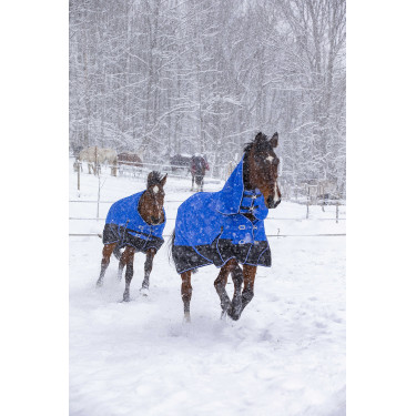 Equithème Tyrex Aisance 1200D High Neck Decke Equithème Tyrex Aisance 1200D High Neck Decke