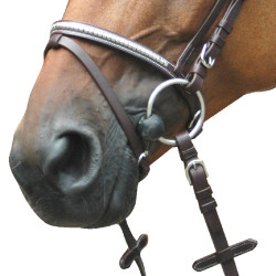Bridon Deauville Kombiniert Privilege Equitation Bridon Deauville Kombiniert Privilege Equitation