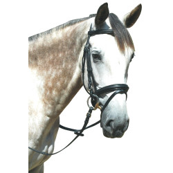 Zaumzeug Pull Back Le Touquet Privilege Reitsport