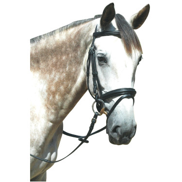Zaumzeug Pull Back Le Touquet Privilege Reitsport