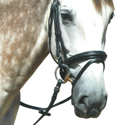 Zaumzeug Pull Back Le Touquet Privilege Reitsport