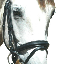 Zaumzeug Pull Back Le Touquet Privilege Reitsport