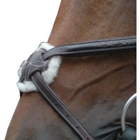 Trensenzaum Royan Kreuzung... Trensenzaum Royan Kreuzung...