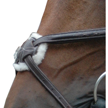 Trensenzaum Royan Kreuzung Privileg Reitsport