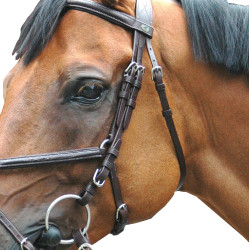 Trensenzaum Royan Kreuzung Privileg Reitsport