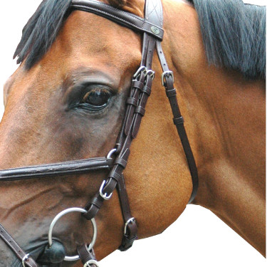 Trensenzaum Royan Kreuzung Privileg Reitsport