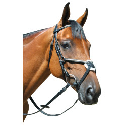 Trense Deauville Kreuzung Privilege Reitsport