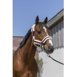 Norton Cosy Halfter Bordeaux
