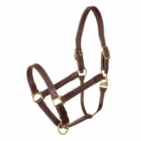 Stübben NT Halfter aus doppellagigem Leder Ebenholz Messing Stübben NT Halfter aus doppellagigem Leder Ebenholz Messing