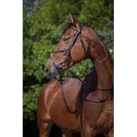 Bridon Riding World Kreuzzaum Schwarz