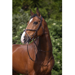 Bridon Riding World Kreuzzaum Bridon Riding World Kreuzzaum