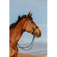 Trense Riding World Breites Nasenband Schwarz