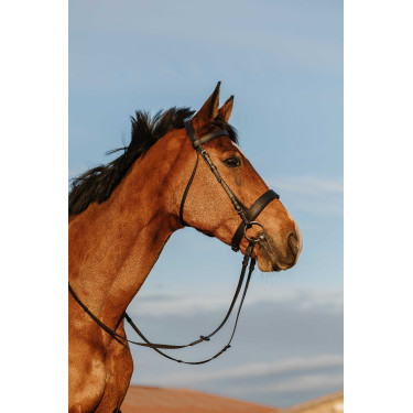 Trense Riding World Breites Nasenband Trense Riding World Breites Nasenband