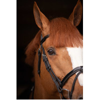 Birdon Oxford Performance Pénélope Schwarz Birdon Oxford Performance Pénélope Schwarz